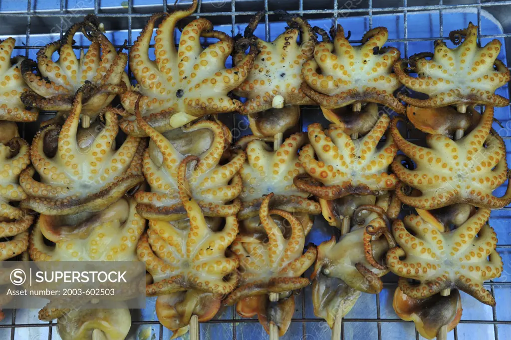 Thailand, Chon Buri, Ban Saen, Nongmun Market, Close up of grilled baby Octopuses