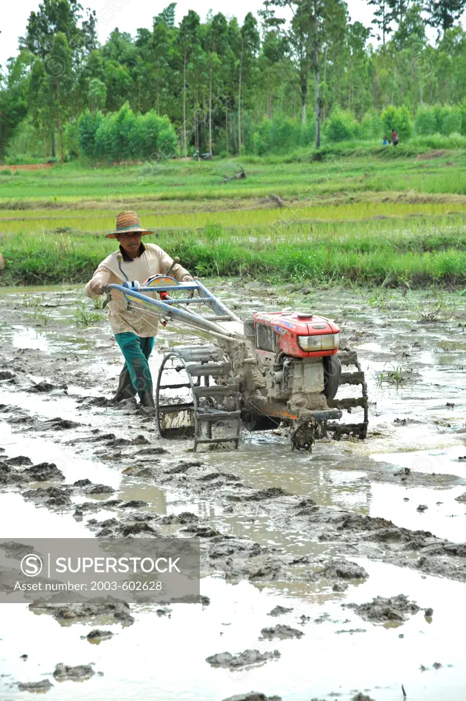 Thailand, Nong Bua Lamphu, Rice farmer using gas powered Rot Thai Nah plow to prepare flooded field