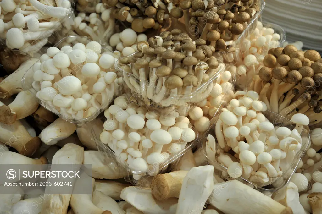 Thailand, Bangkok, Fresh mushrooms on display atThai Agricultural Fair, Kasetsart University