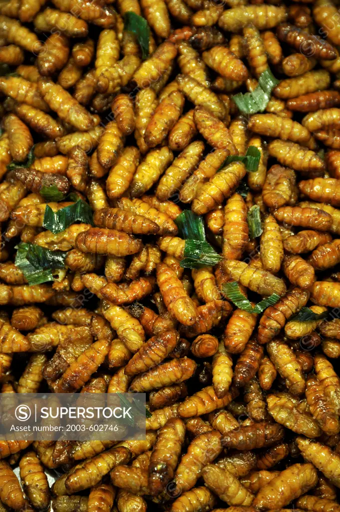 Thailand, Bangkok, Thai snack of fried Silk Caterpillar Pupae (Dak Dae)