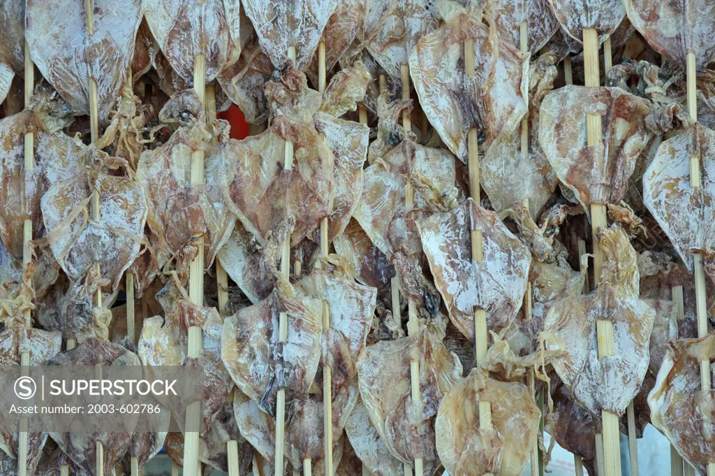 Thailand, Khon kaen, Dried Squid on skewers popular snacks for grilling at Thai food stalls