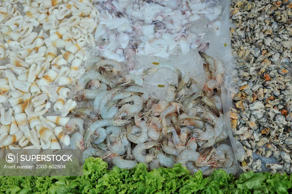 Thailand, Khon kaen, Thai seafood at Silk Festival stall including Squid, Shrimp, and Mussels