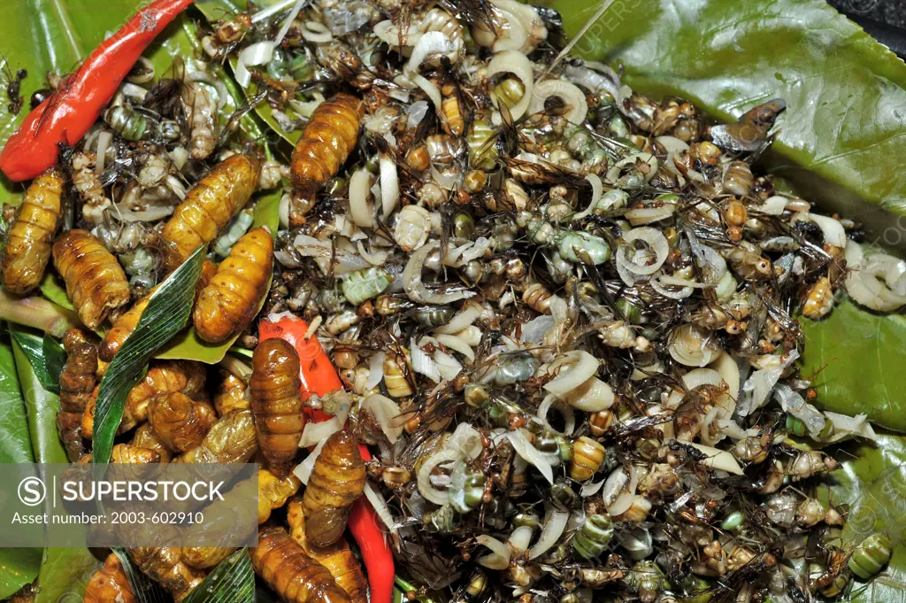 Silkworm pupae and Weaver Ants served as food
