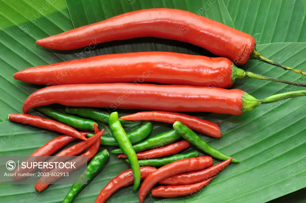 Close-up of hot chiles are used in many Thai dishes