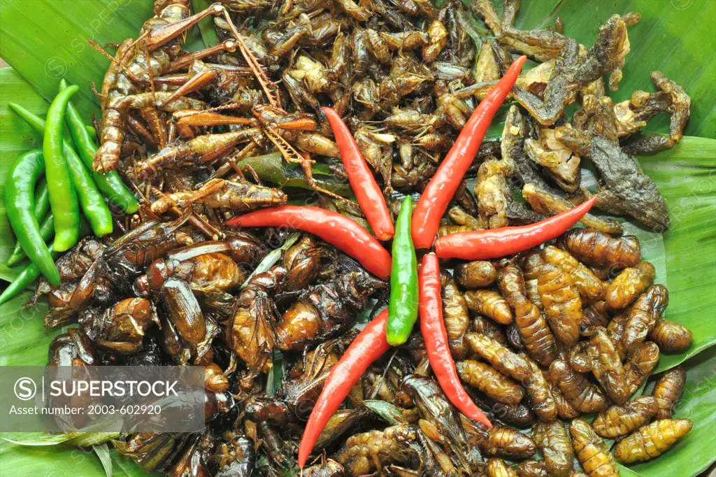 Thai insects stir-fried as snacks