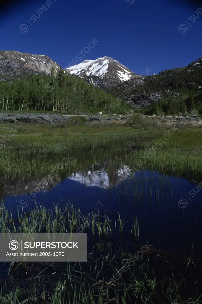 Bishop Creek Sierra Nevada California USA