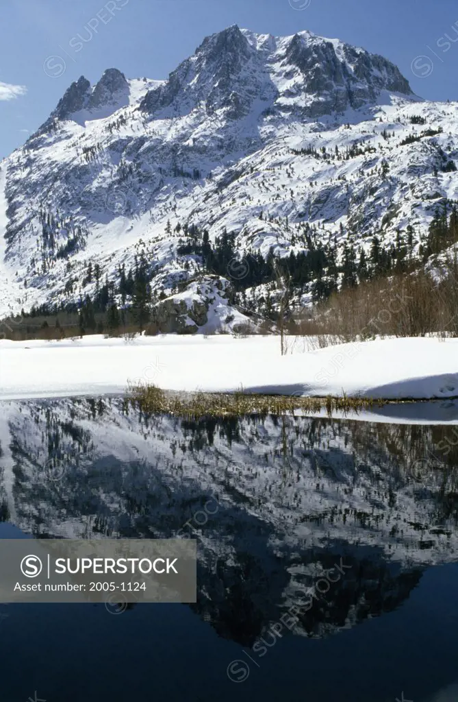 Reflection of a snow covered mountain in water, Carson Peak, Silver Lake, Californian Sierra Nevada, California, USA