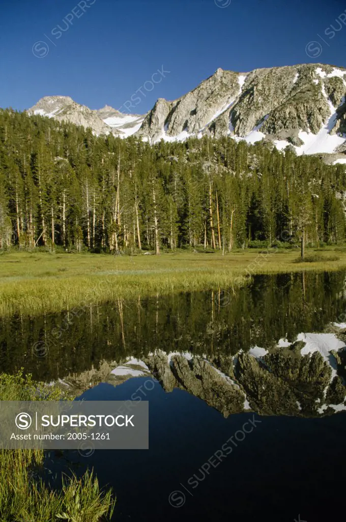 Lamarck Peak Grass Lake Sierra Nevada California, USA