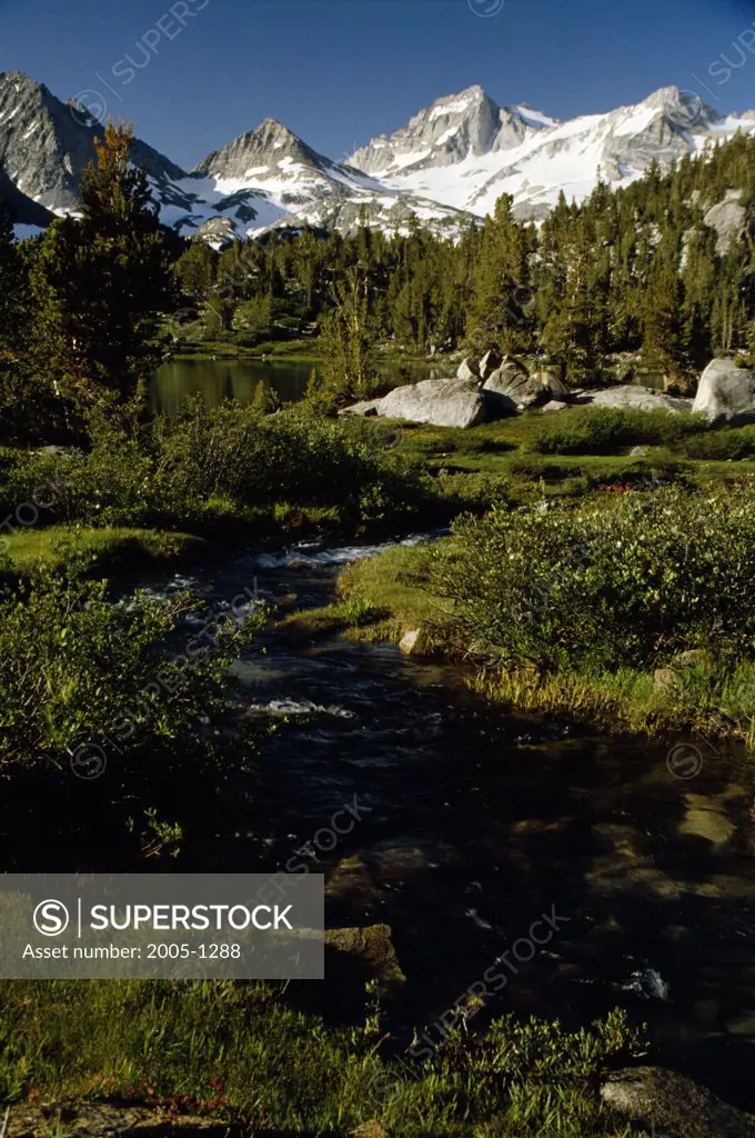 Bear Creek Rock Creek Sierra Nevada California, USA