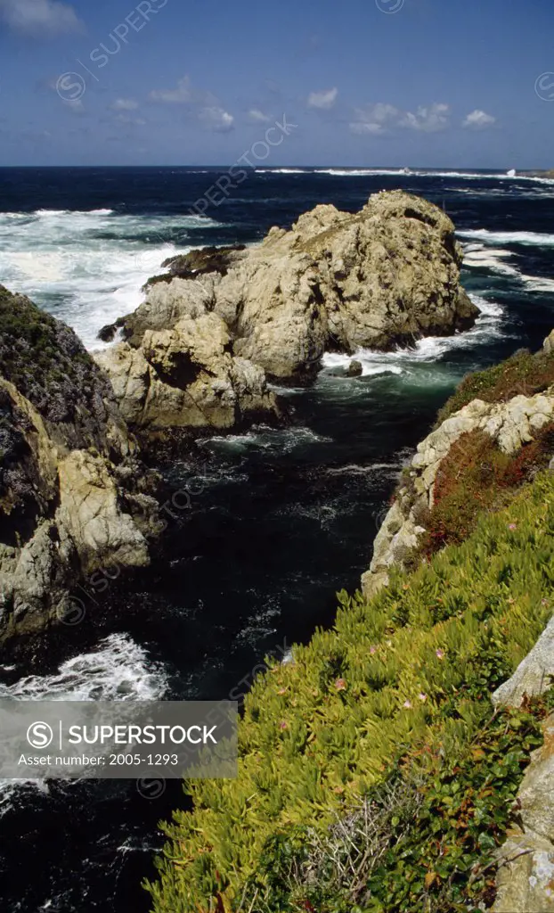 China Cove Point Lobos State Reserve California USA