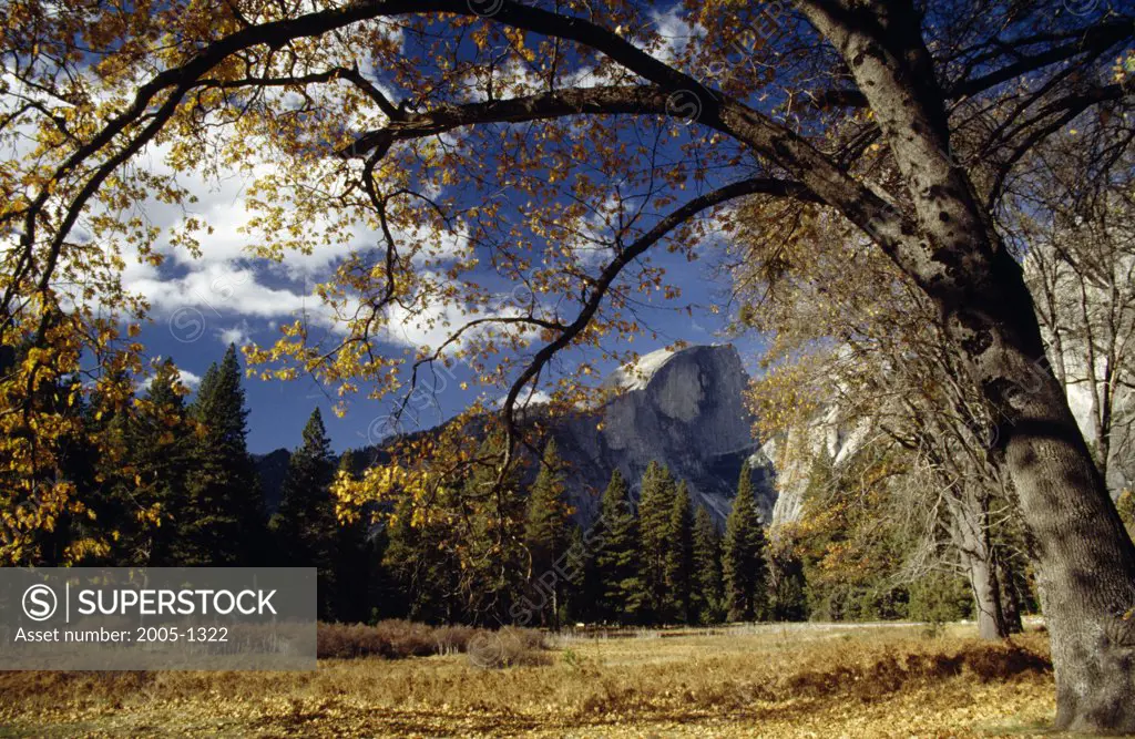 Half Dome Yosemite National Park California USA