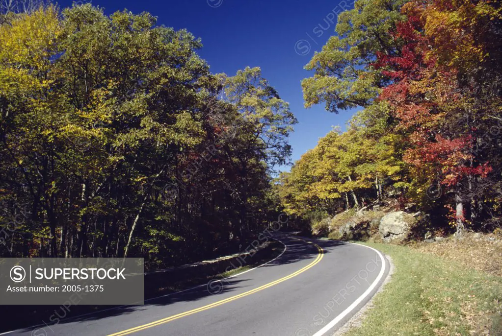 Road passing through a forest, Shenandoah National Park, Virginia, USA