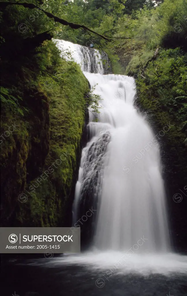 Low angle view of a waterfall in a forest, Bridal Veil Falls, Columbia River Gorge National Scenic Area, Oregon, USA