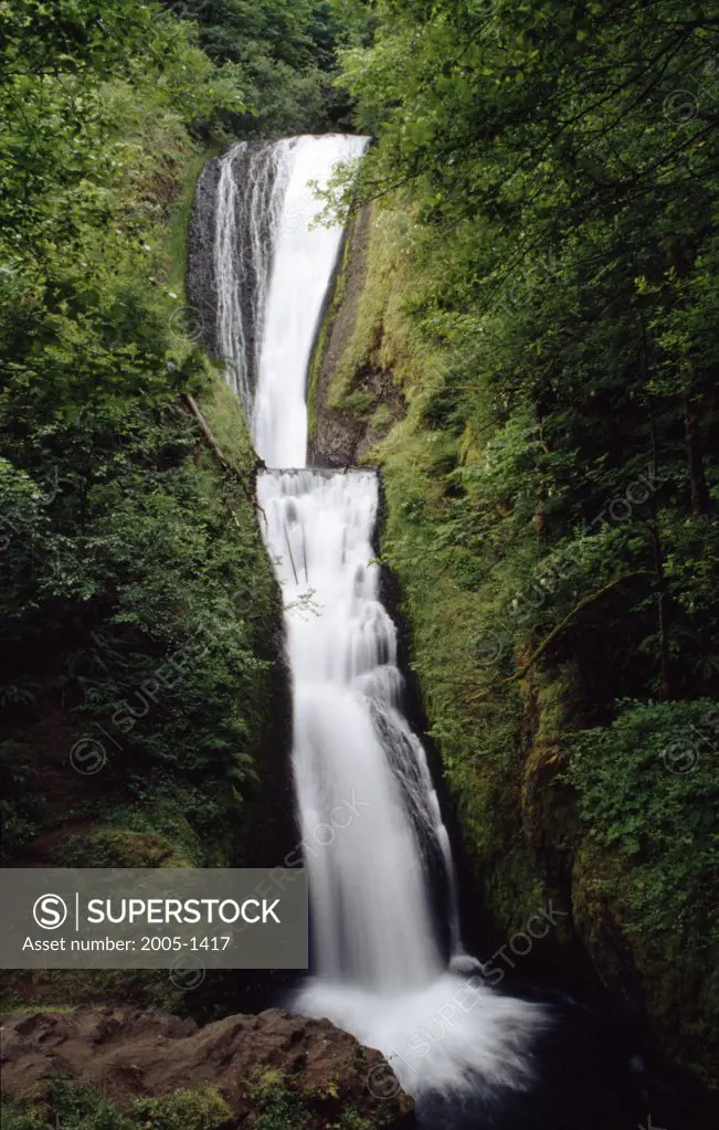 Waterfall in a forest, Bridal Veil Falls, Columbia River Gorge National Scenic Area, Oregon, USA