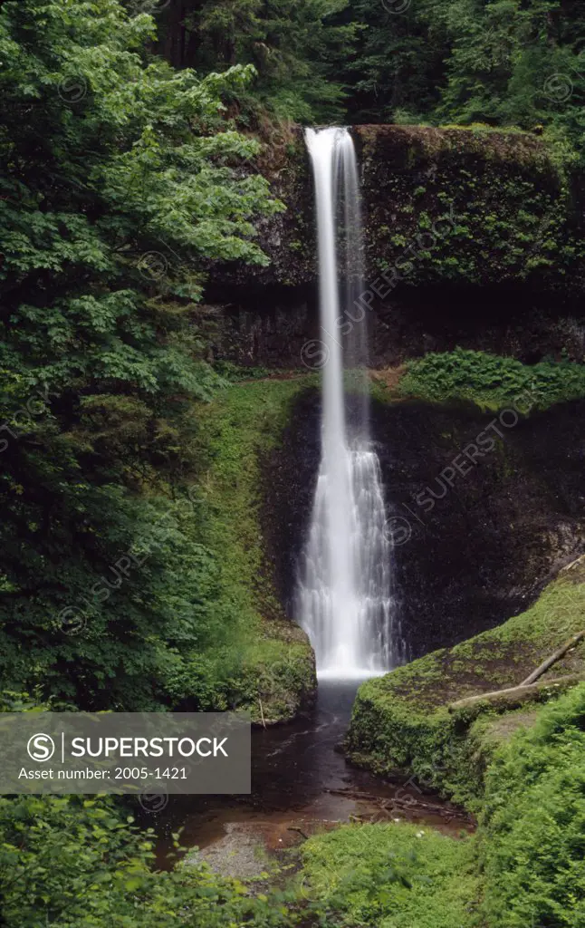 Waterfall in a forest, Middle North Falls, Silver Falls State Park, Oregon, USA