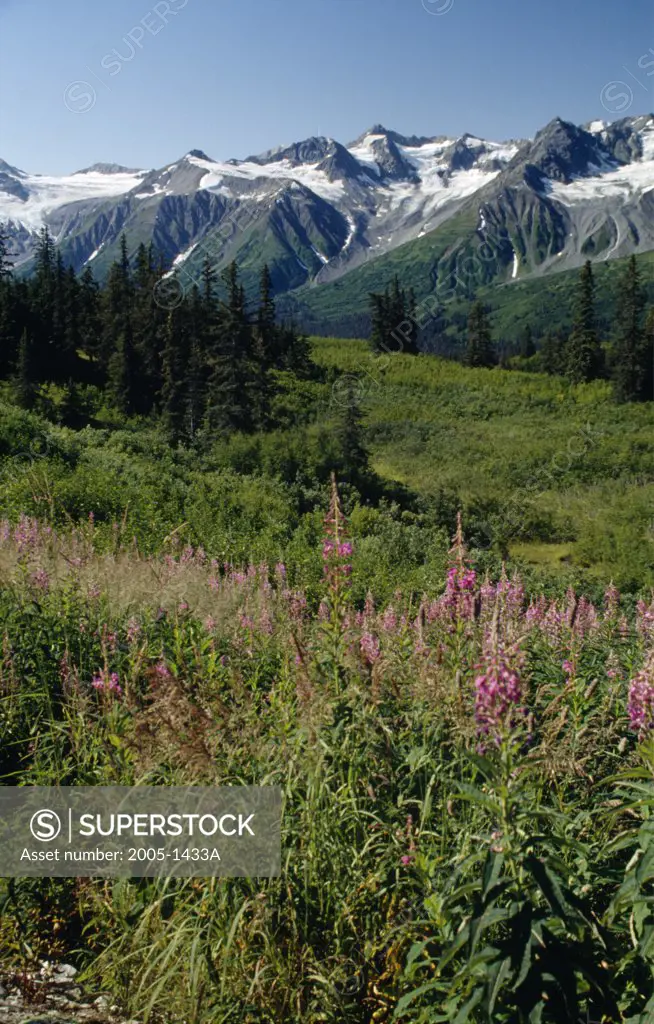 Takhinsha Mountains Alaska USA
