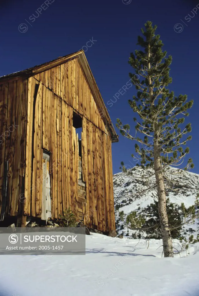 Low angle view of a cabin, Bennetville Ghost Town, Hoover Wilderness, California, USA