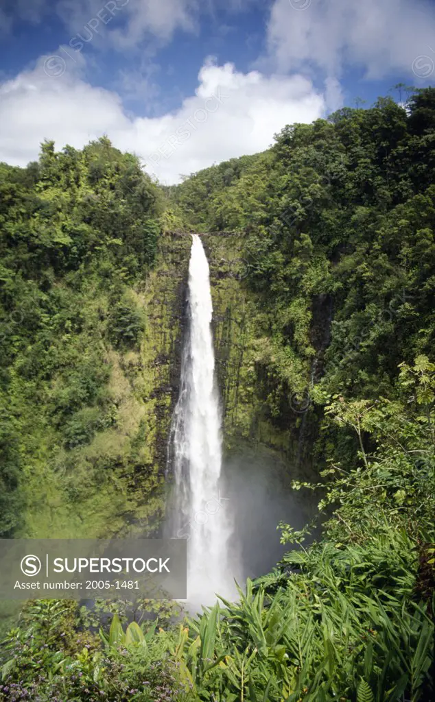 Low angle view of a waterfall in a forest, Akaka Falls, Akaka Falls State Park, Hawaii, USA