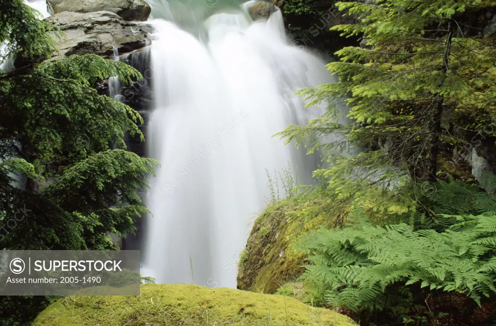 High angle view of a waterfall, Nooksack Falls, Mount Baker-Snoqualmie National Forest, Washington, USA