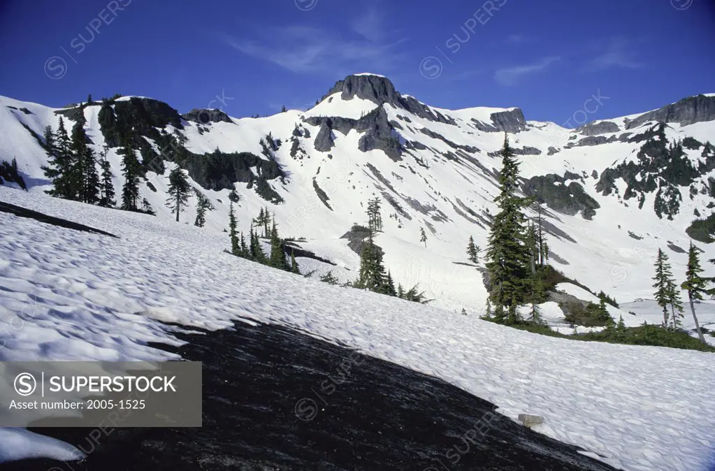 Table Mountain Mount Baker-Snoqualmie National Forest Washington USA