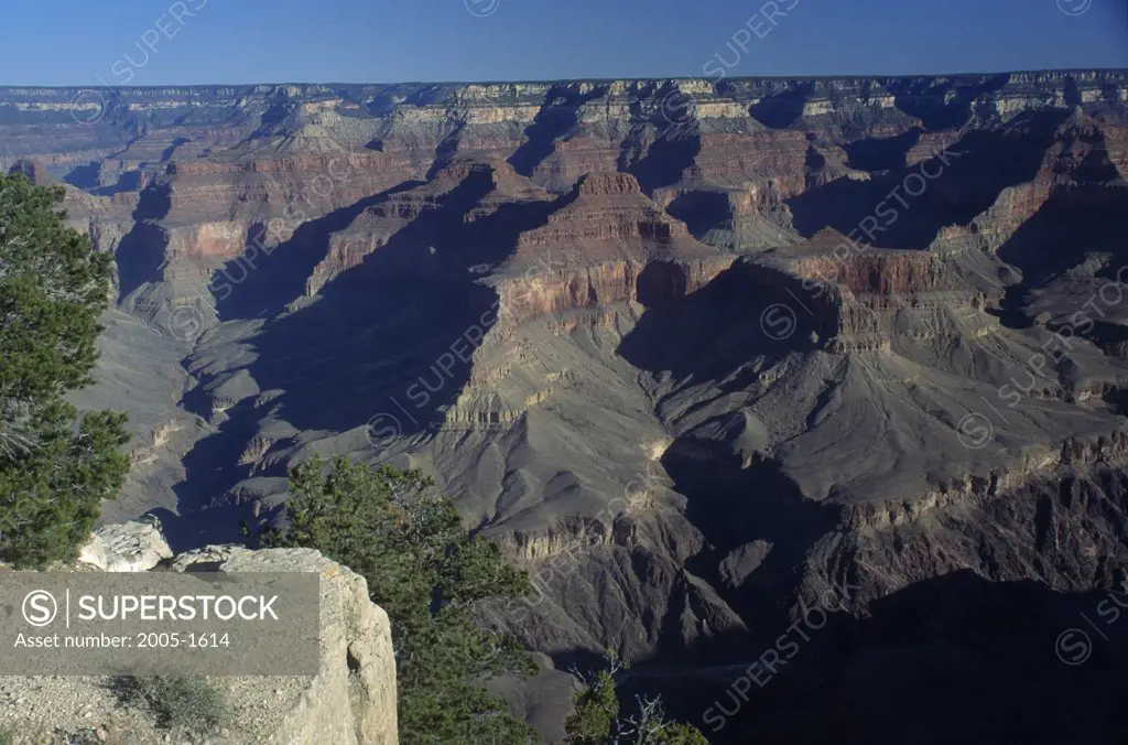 Grand Canyon National Park  Arizona USA