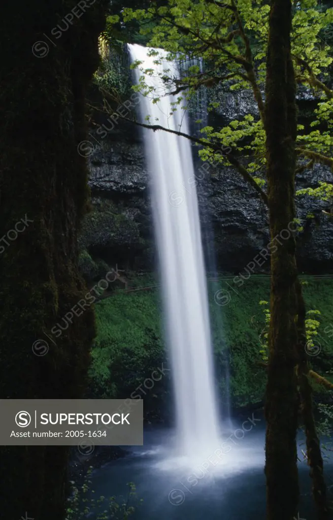 Waterfall in a forest, Silver Falls, Upper South Falls, Silver Falls State Park, Oregon, USA