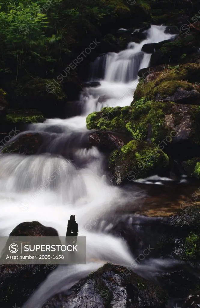 High angle view of a stream flowing through rocks, Opabin Creek, Yoho National Park, British Columbia, Canada