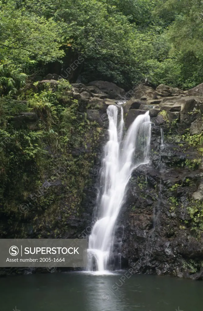 High angle view of a waterfall in a forest, Puohokamoa Falls, Maui, Hawaii, USA