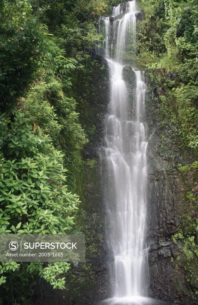 Waterfall in a forest, Kipahulu, Maui, Hawaii, USA