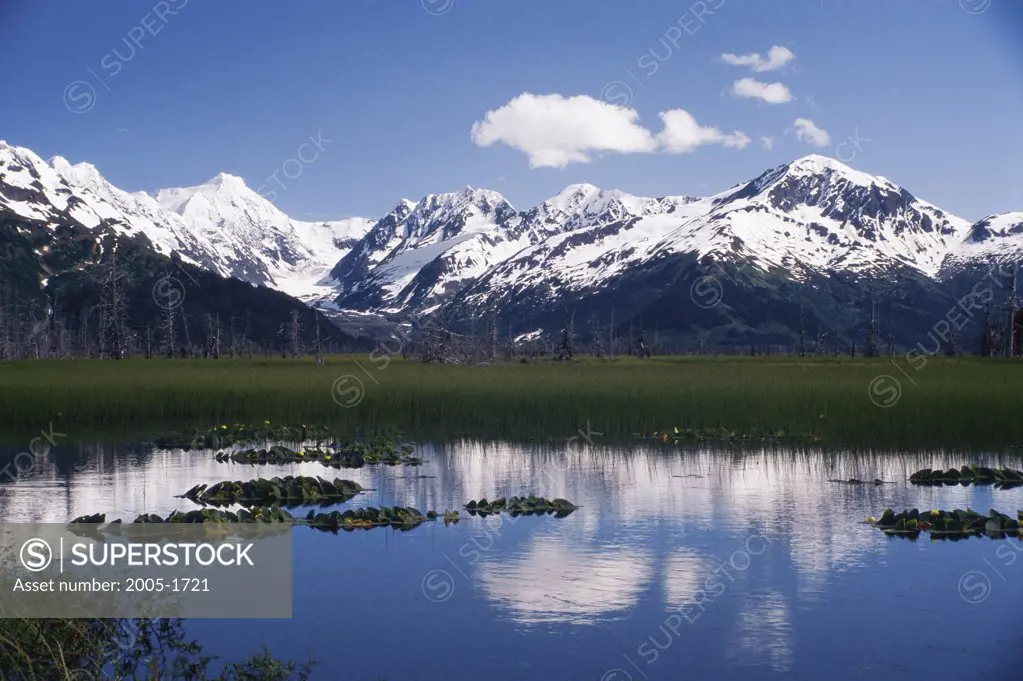 Kenai Mountains Chugach National Forest Alaska USA