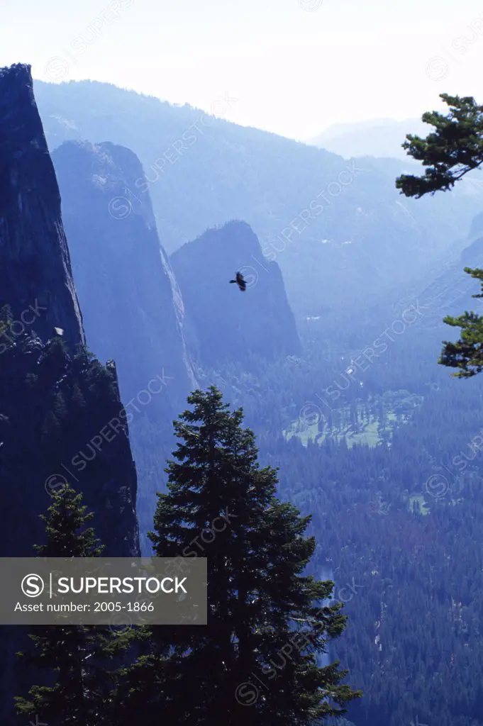 Yosemite Valley Yosemite National Park California USA