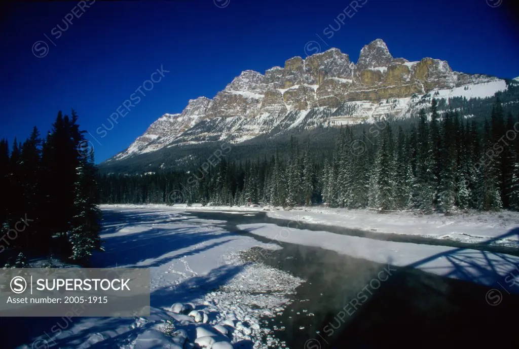 Low angle view of pine trees in front of mountains, Castle Mountain, Banff National Park, Alberta, Canada