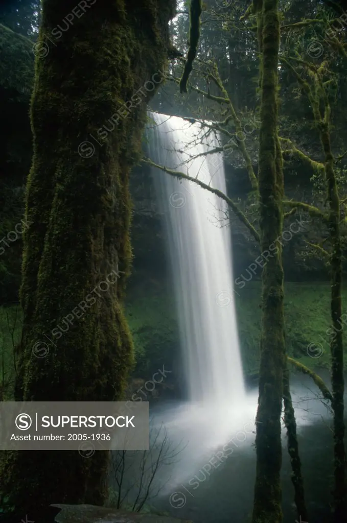Water falling from a cliff, South Falls, Silver Falls State Park, Oregon, USA