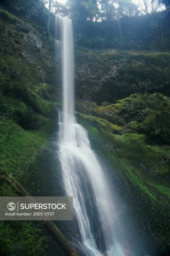 Water falling from a cliff, Winter Falls, Silver Falls State Park, Oregon, USA