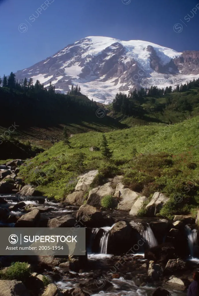 Stream flowing through rocks, Mount Rainier National Park, Washington, USA