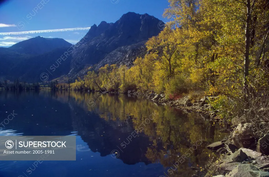 Reflection of trees and mountains in a lake, Carson Peak, Silver Lake, Californian Sierra Nevada, California, USA