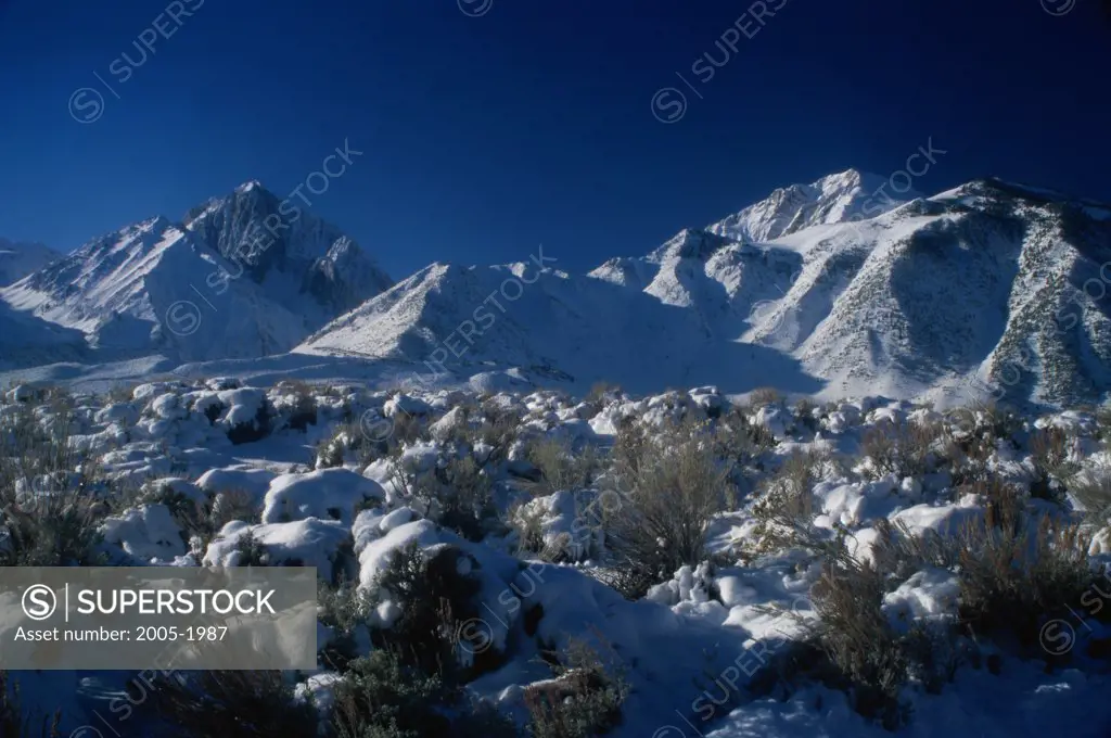 Panoramic view of a snow covered mountain, Mount Morrison, Californian Sierra Nevada, California, USA