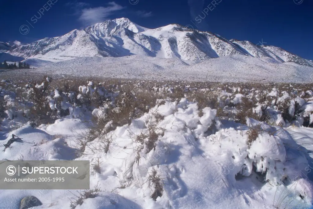 Panoramic view of a snow covered mountain, Laurel Mountain, Californian Sierra Nevada, California, USA
