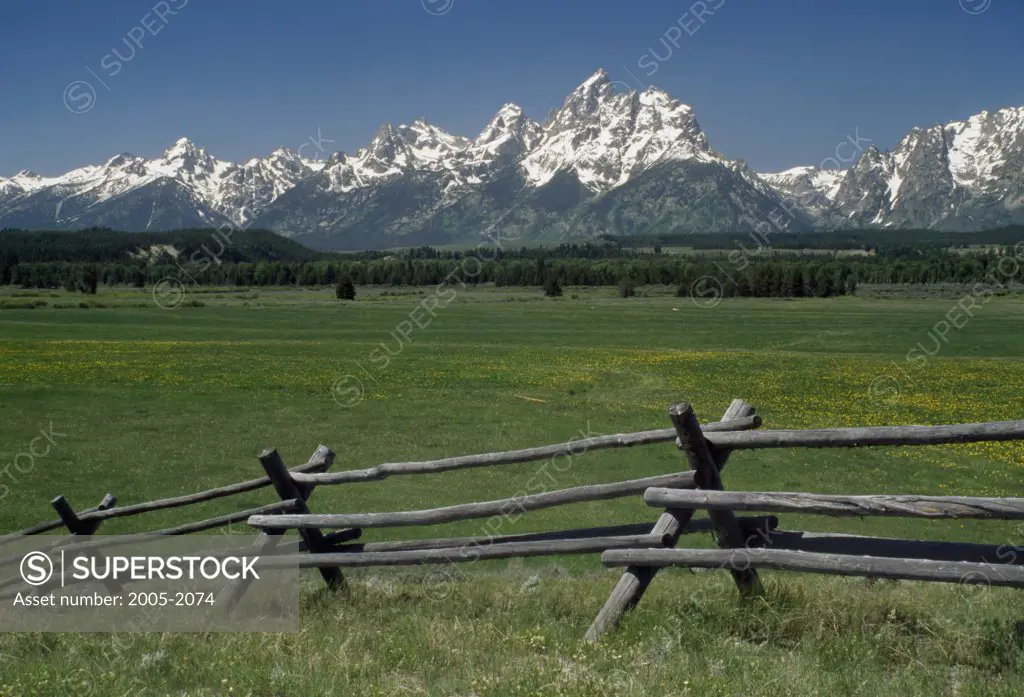 Fence in a field, Grand Teton National Park, Wyoming, USA