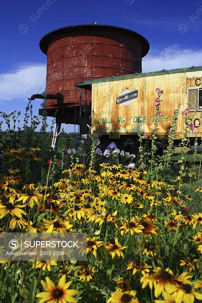 Railroad car and a water tank near a field of wildflowers, Fairmont, Minnesota, USA