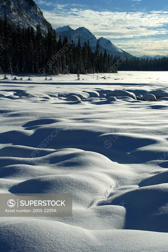 Frozen lake in front of mountains, Emerald Lake, Yoho National Park, British Columbia, Canada