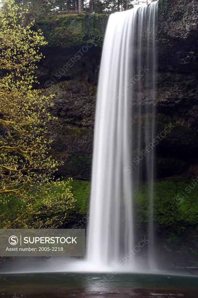 Waterfall in a forest, Winter Falls, Silver Falls State Park, Oregon, USA