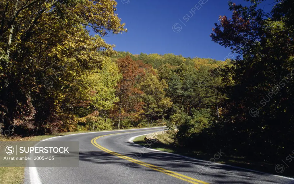 Road passing through a forest, Skyline Drive, Shenandoah National Park, Virginia, USA