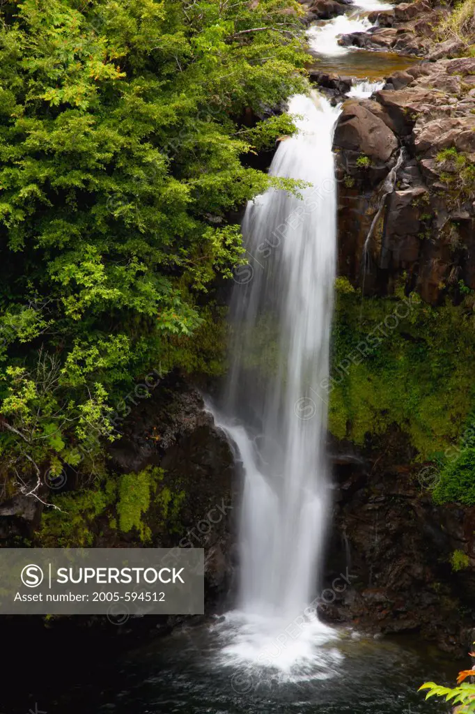 Waterfall in a forest, Umauma Falls, Big Island, Hawaii, USA