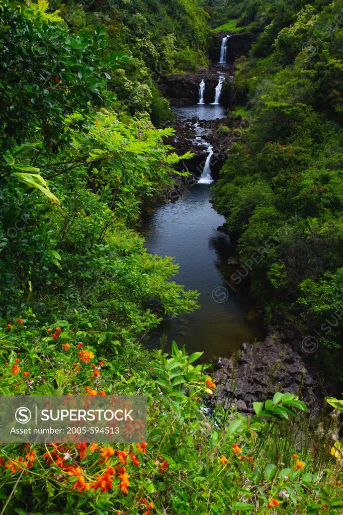 Waterfall in a forest, Umauma Falls, Big Island, Hawaii, USA