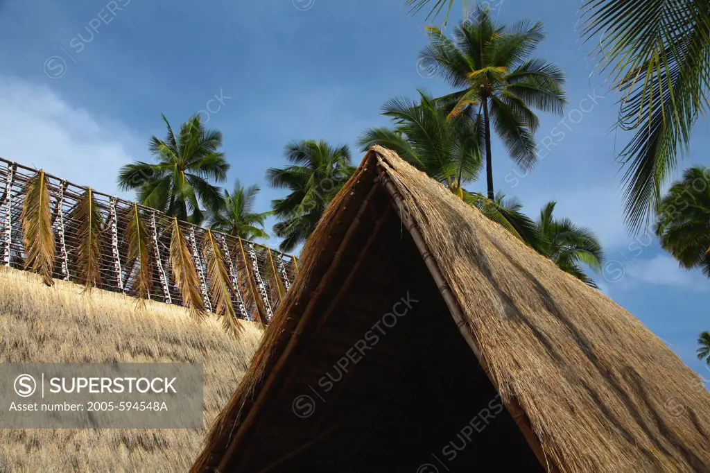 Low angle view of a thatched roof house, Place Of Refuge National Park, Big Island, Hawaii, USA