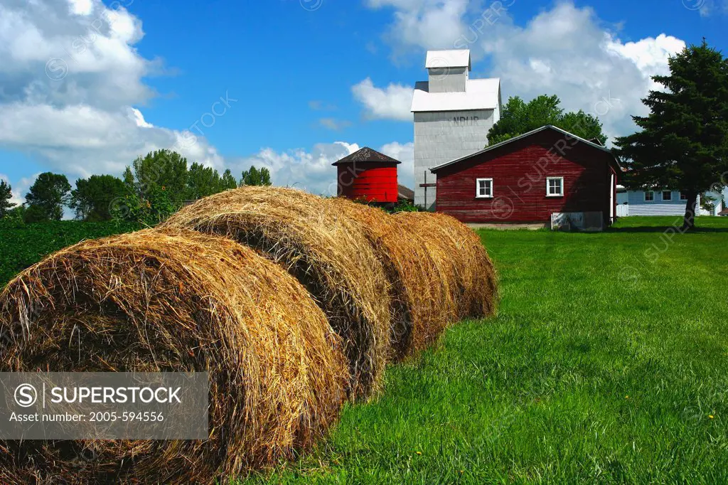 Hay bales in a field, Minnesota, USA