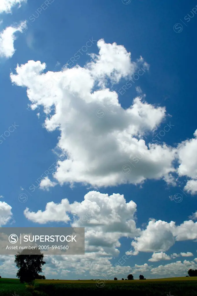 Clouds over the alfalfa field, Minnesota, USA