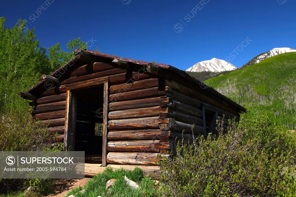 USA, Colorado, White Mountain National Forest, Ashcroft, Ghost town cabin