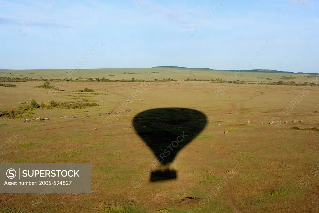 Kenya, Masai Mara Game Reserve, Hot air balloon shadow